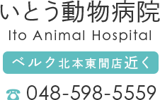 北本の動物病院なら、いとう動物病院にお越しください。